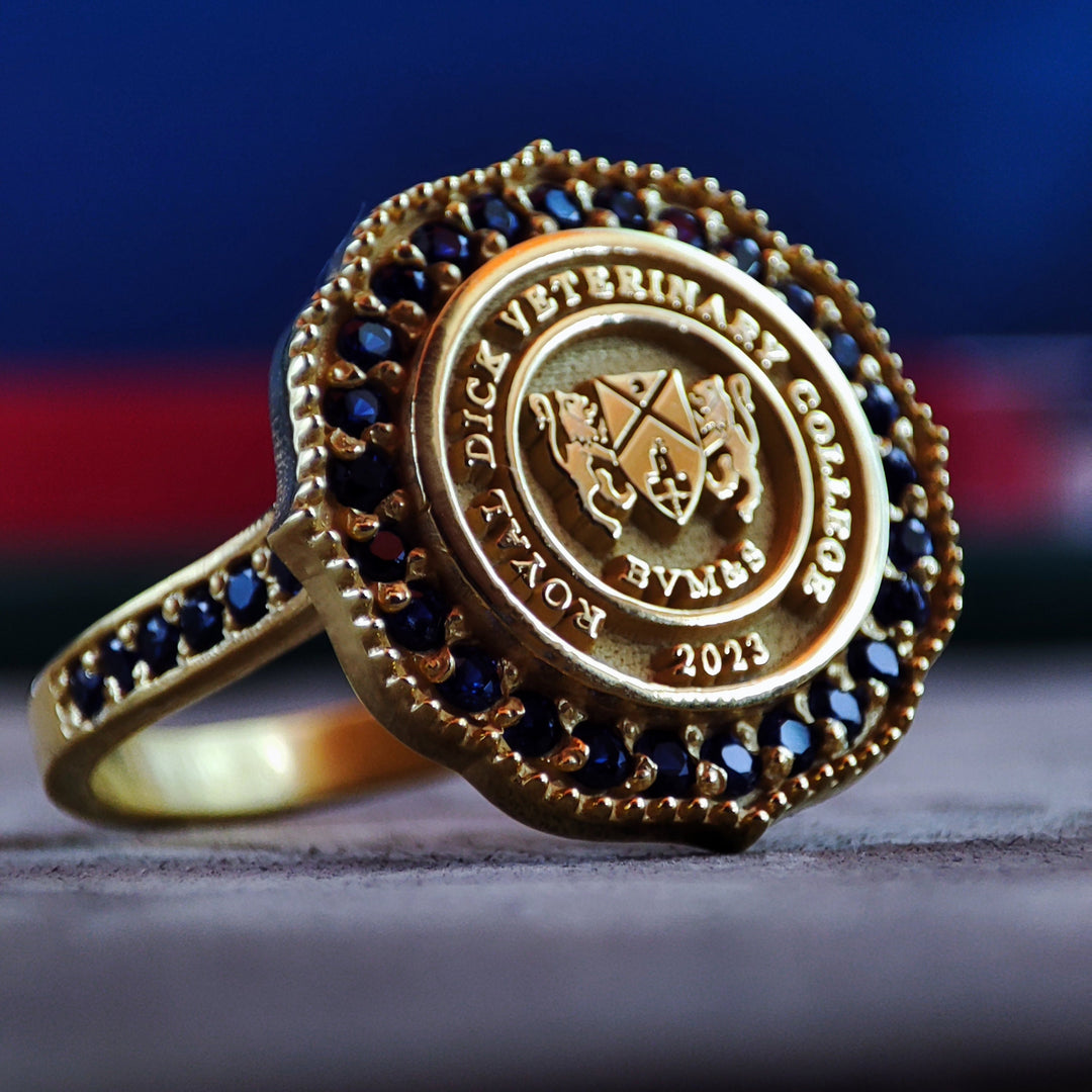 Custom University Graduation Signet Class Ring for College Alumni Gift