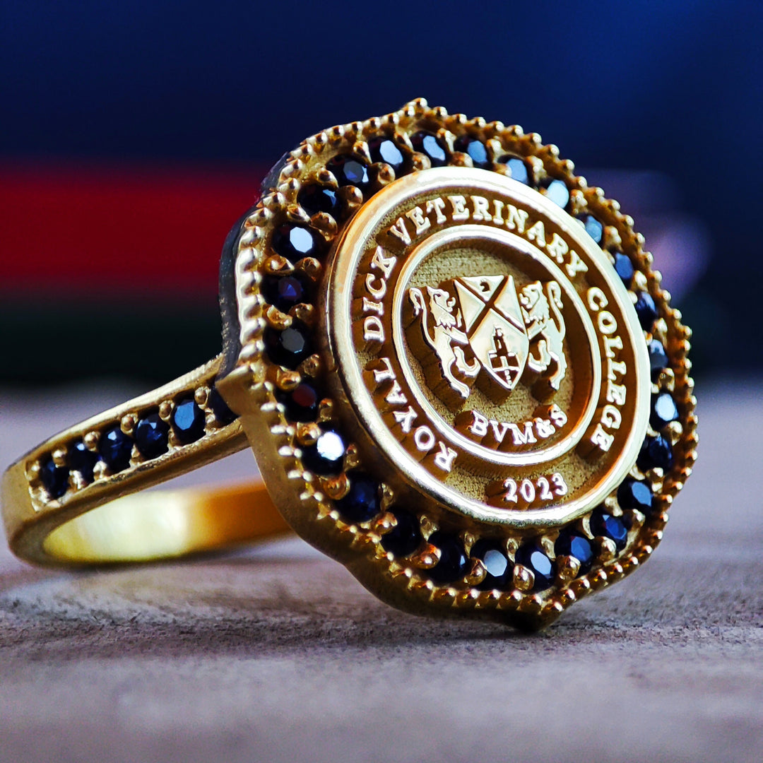Custom University Graduation Signet Class Ring for College Alumni Gift