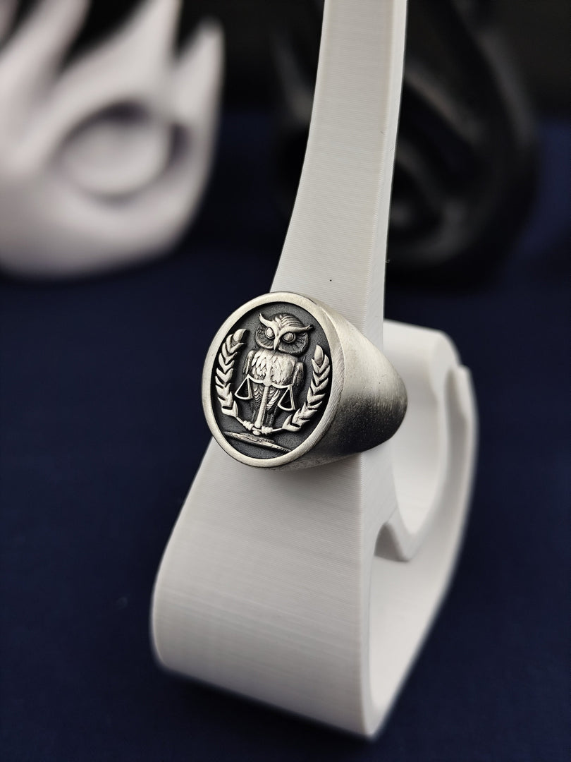 Elevate your jewelry collection with this stunning 3D owl ring, made from high-quality silver and finished with a matte texture. This handcrafted piece features lifelike details that bring the majestic owl to life. A beautiful gift for those who cherish birds, nature, and symbolic jewelry, this silver owl ring represents intelligence, mystery, and spiritual guidance in an artistic design.