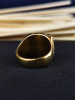 Load image into Gallery viewer, Personalized gold-plated university ring for men, crafted to symbolize academic pride and success.
