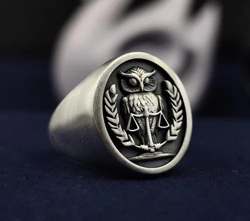 Sterling Silver 3D Owl Signet Ring - Raised Wisdom Symbol Jewelry